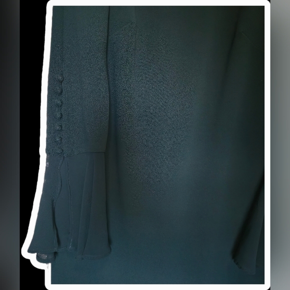 Calvin Klein Forest Green Chiffon Bell Sleeve Sheath Dress - Size 10 - Picture 7 of 12